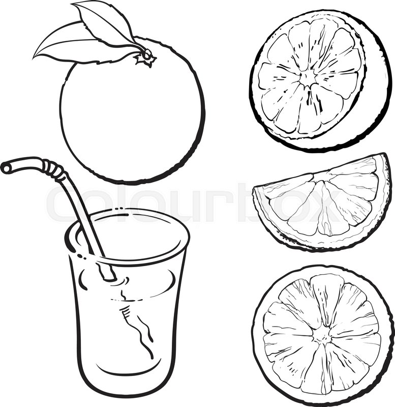 777x800 Oranges And A Glass Of Freshly Squeezed Juice, Sketch Style Vector