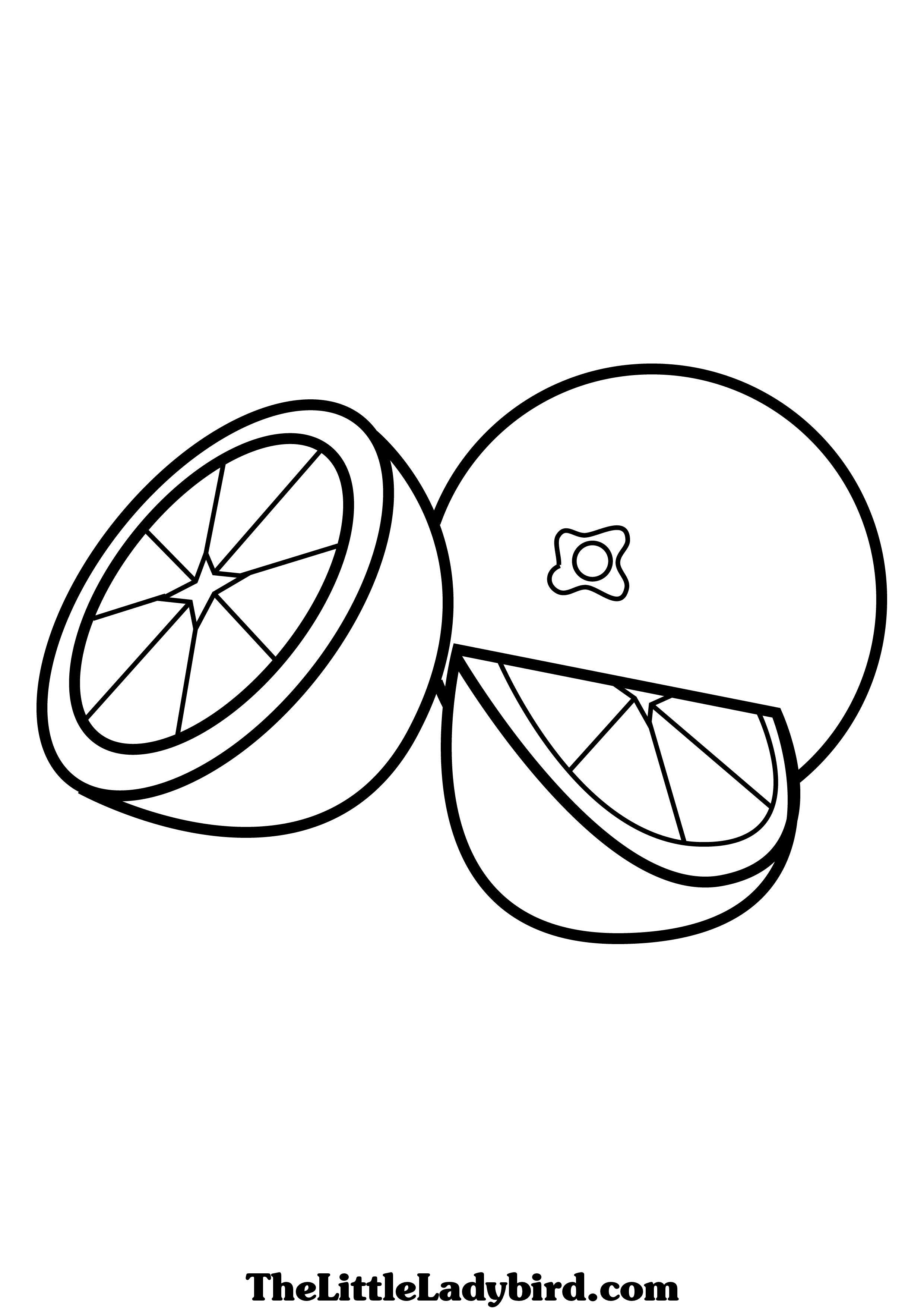 2480x3508 Grapefruit Color Sheet