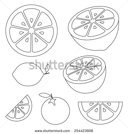 450x470 Collection Of Citrus Slices