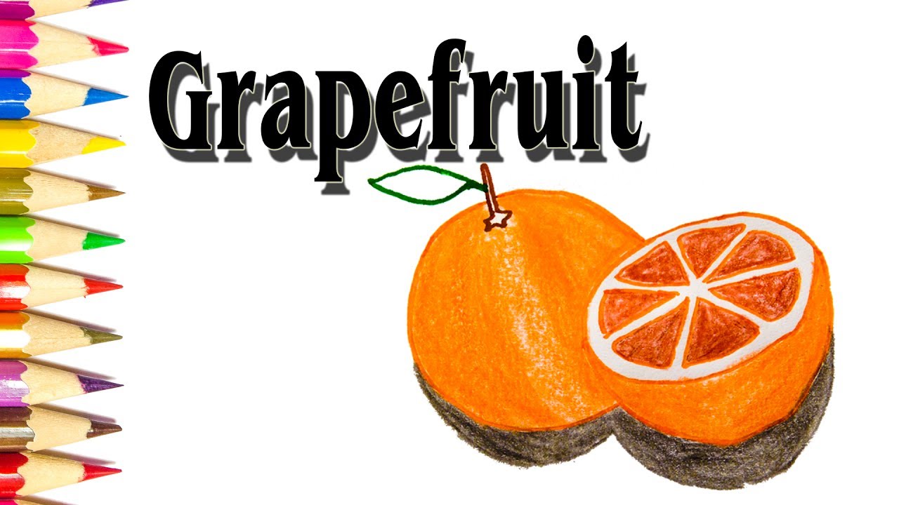 1280x720 How To Draw Grapefruit Easy For Beginners