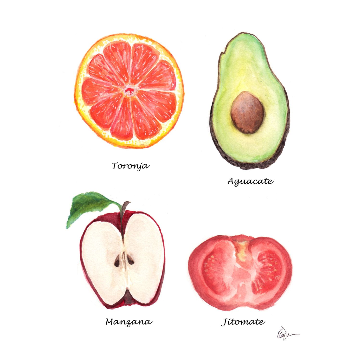 1500x1500 Ruby Red Grapefruit Watercolor Painting, Food Illustration, Apple