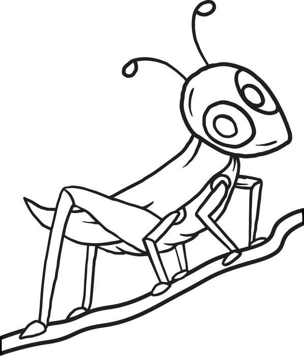 598x700 Grasshopper Coloring Page