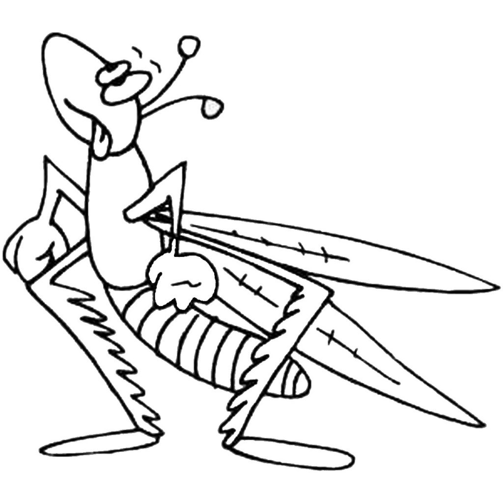 1024x1024 Grasshopper Coloring Pages For Kids