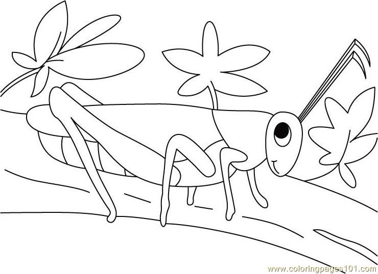 740x538 Grasshopper Walking Coloring Page