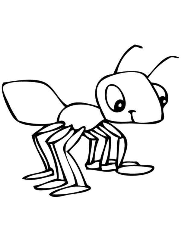 600x800 Meat Eater Ant Grasshopper And Ant Coloring Page 9 Coloring