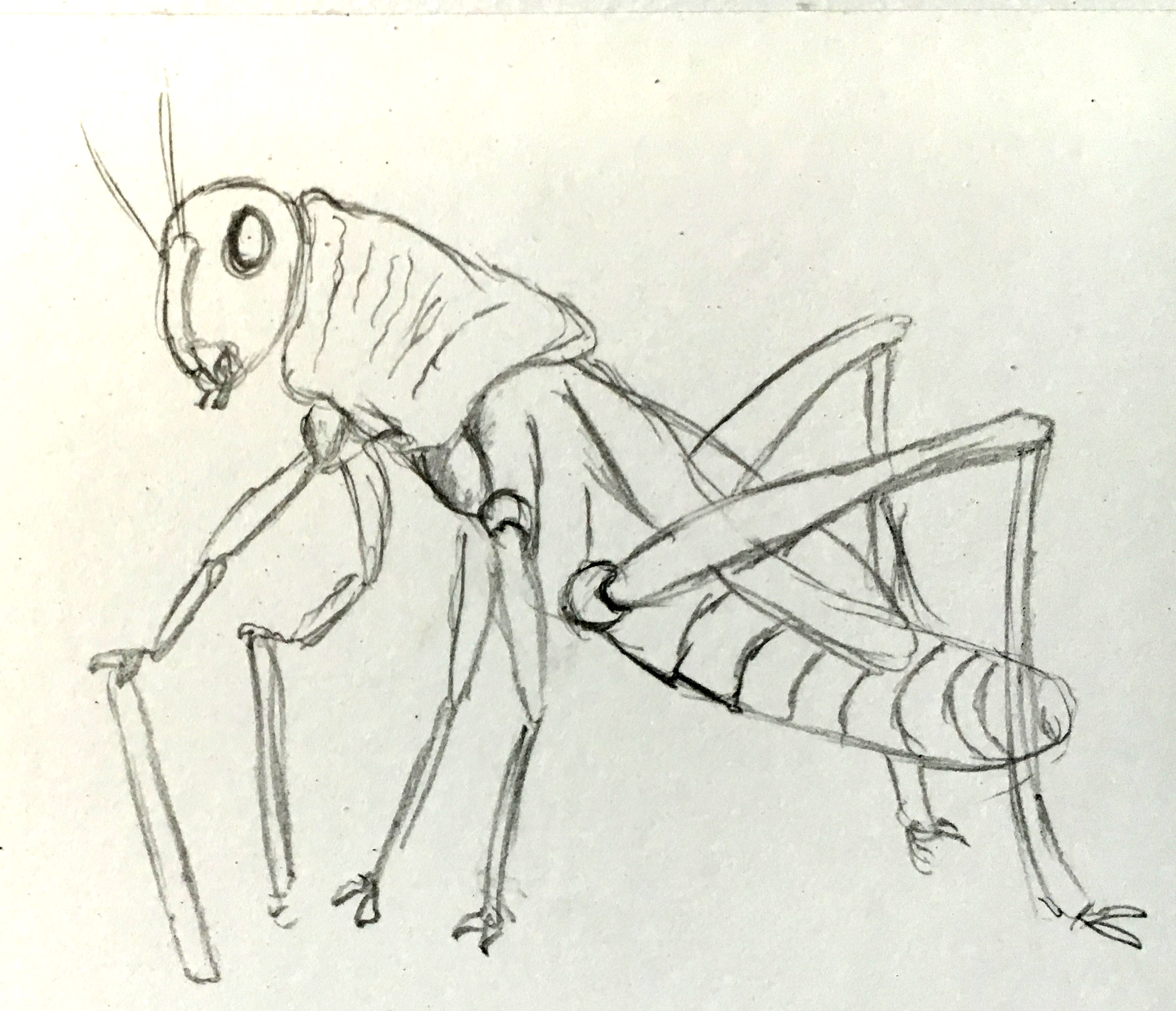 2494x2144 The Art Of Abc, Episode I The Process A Book Of Creatures