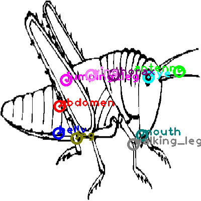 400x400 Grasshopper