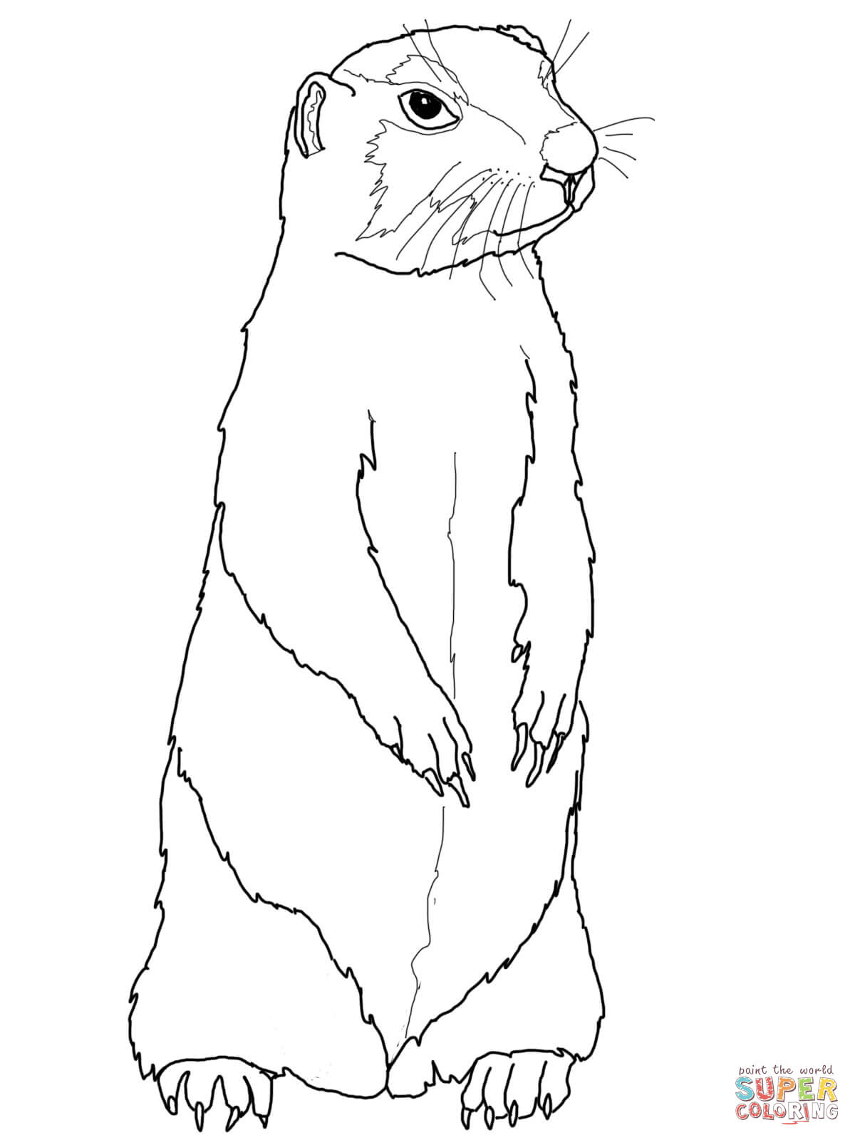 1200x1600 Drawn Pit Bull Grassland Animal