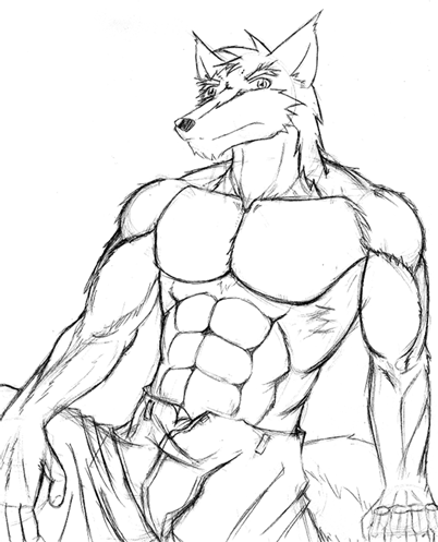 402x497 Book Cover Sketch By Grassland Wolf