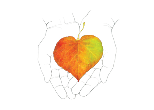 504x360 Sarah Melling Pencils And Paper November 2012