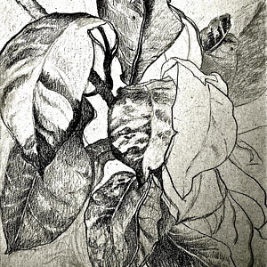 300x300 Grayscale Drawings