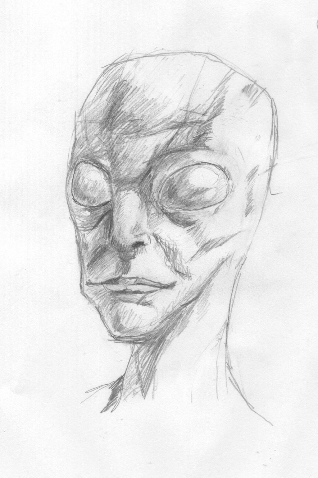 1024x1536 Grey Alien Portrait By Laz0rbear