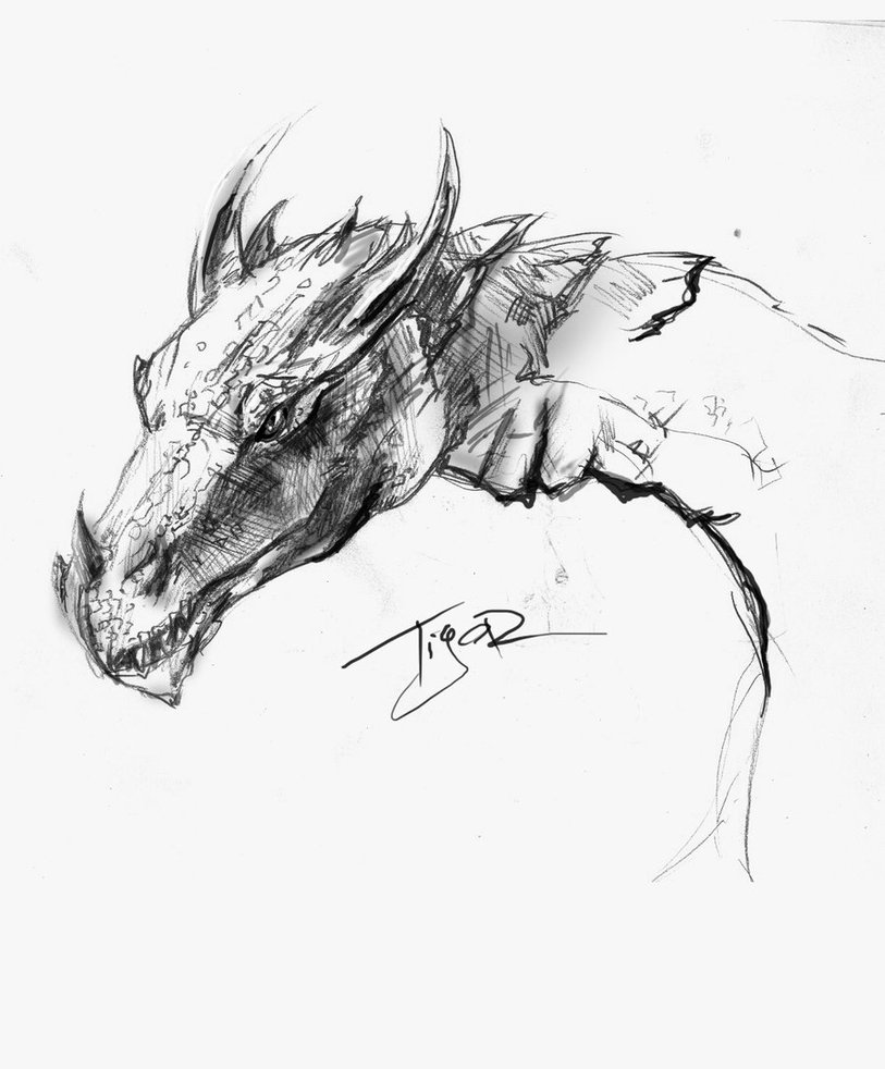 813x982 Skyrim The Grey Dragon By Ti R