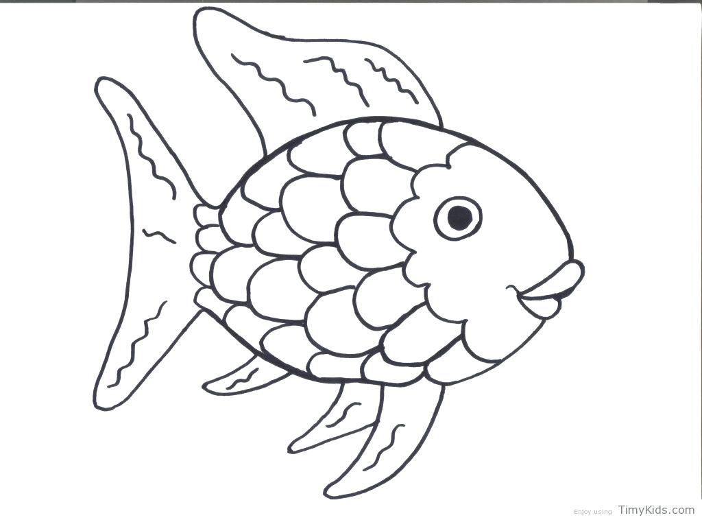 1024x758 Puppy Dog Drawing For Gt Puppy Color Drawing Free Printable