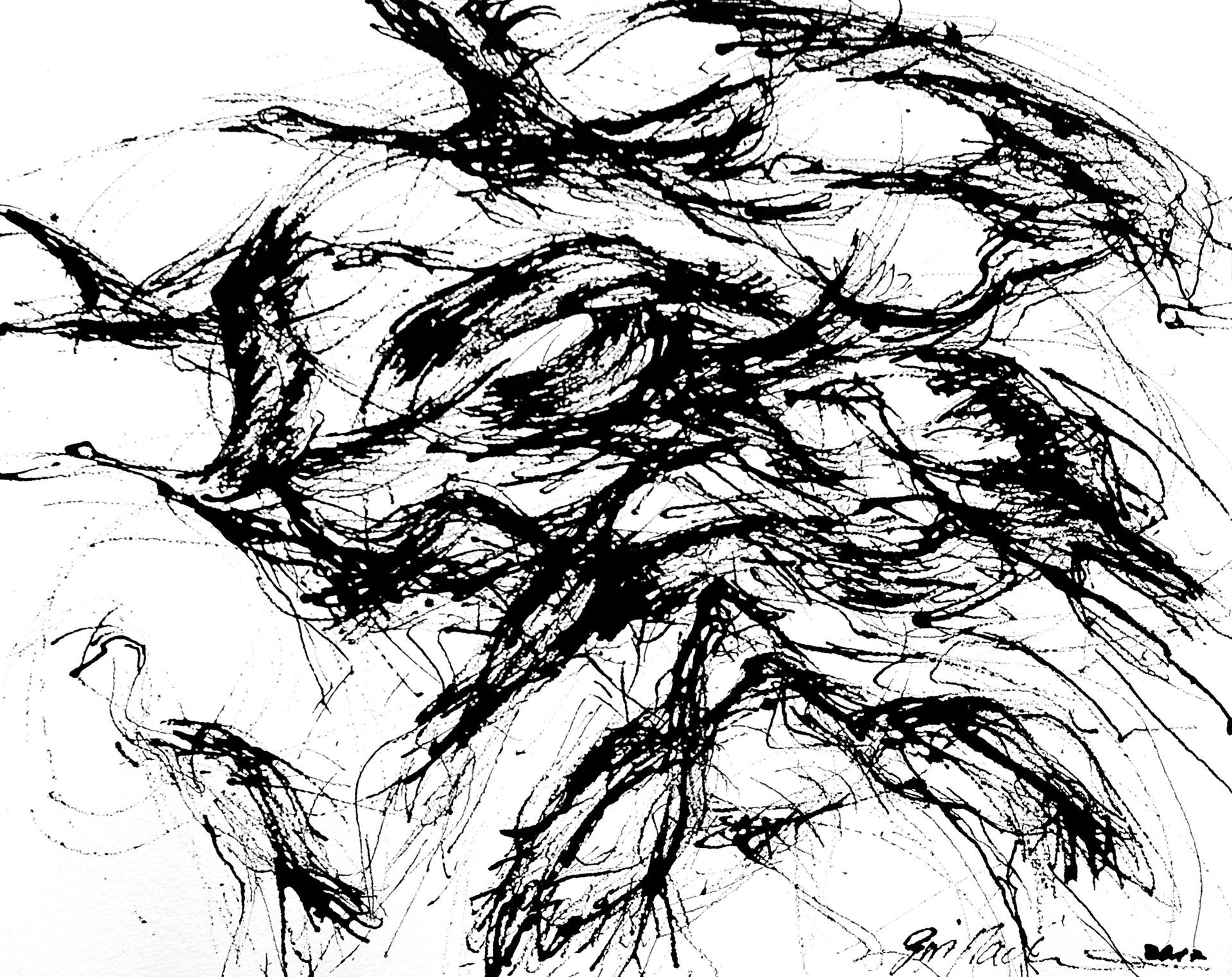 1920x1522 Saatchi Art Kraniche Drawing By Grit Rademacher