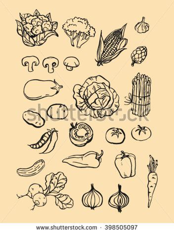 352x470 Set Collection Of Handmade Hand Drawn Dark Brown Ink Outline Brush