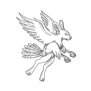 300x300 Grouse Digital Art Fine Art America