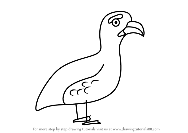 800x566 Learn How To Draw A Grouse Bird For Kids (Animals For Kids) Step