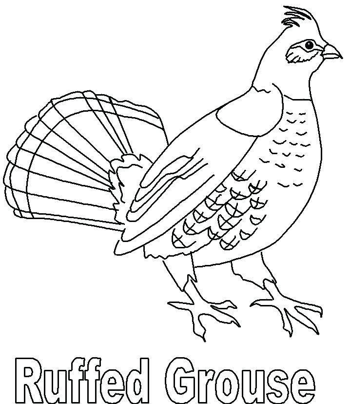 718x828 Ruffed Grouse Coloring Page Kiss Coloring Page Awesome Kiss