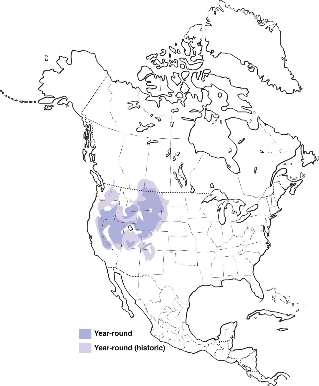 1280x1548 Greater Sage Grouse Range Map, All About Birds, Cornell Lab