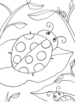 249x350 5 Fun Guided Drawings Insects! By Heartoflearning Tpt