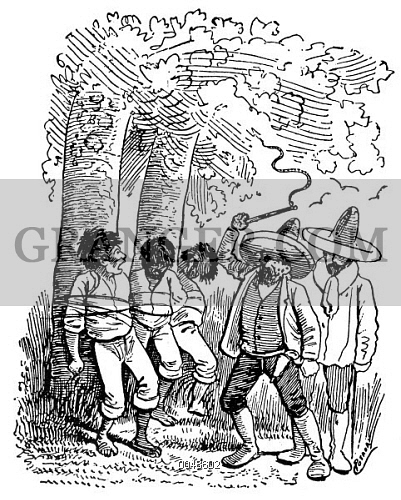 401x500 Image Of Mexico Rural Exploitation.