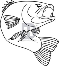 236x264 How To Draw A Salmon Something Fishy Salmon, Fish