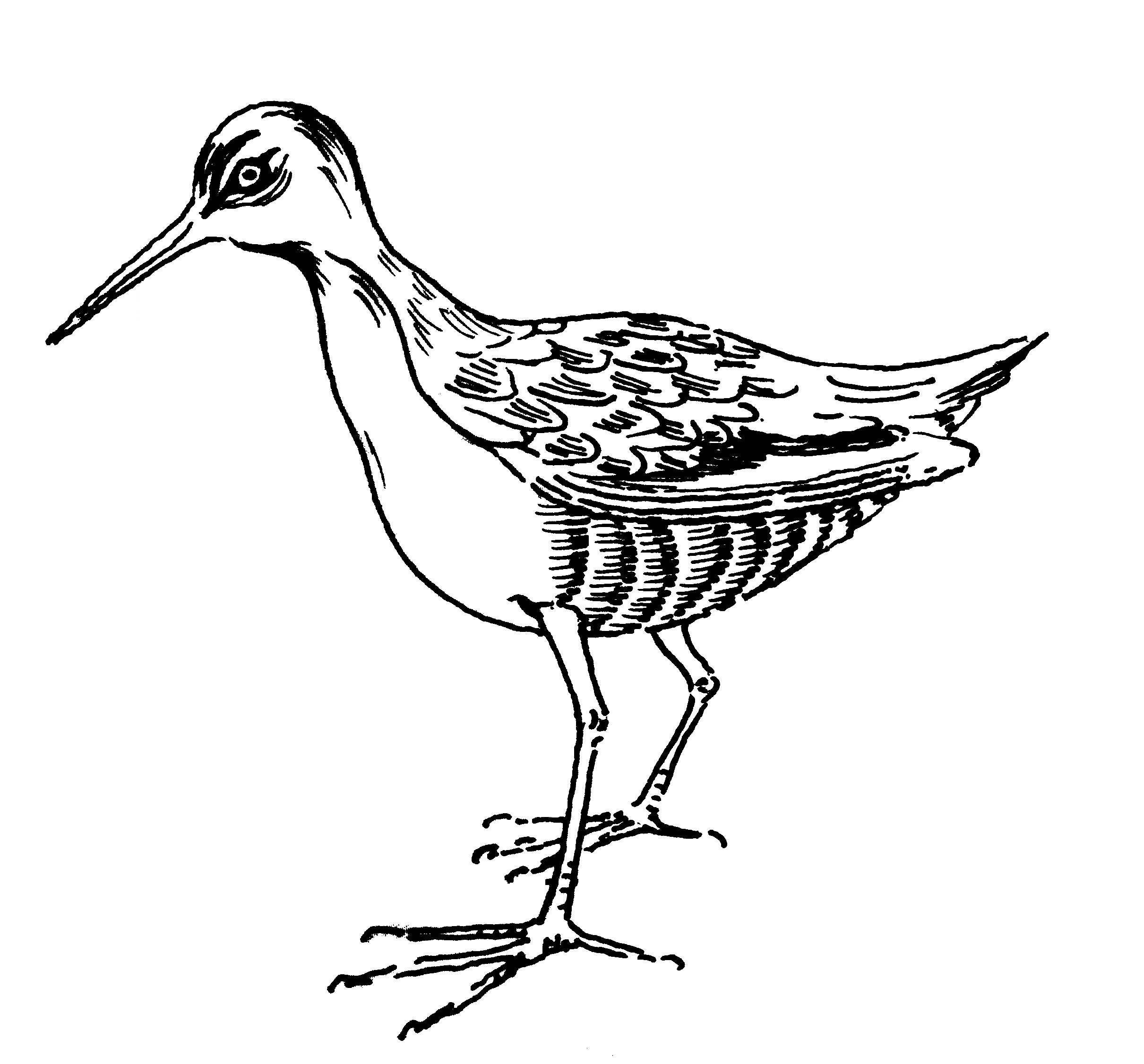 2421x2253 Index Of Wp Contentuploads201312