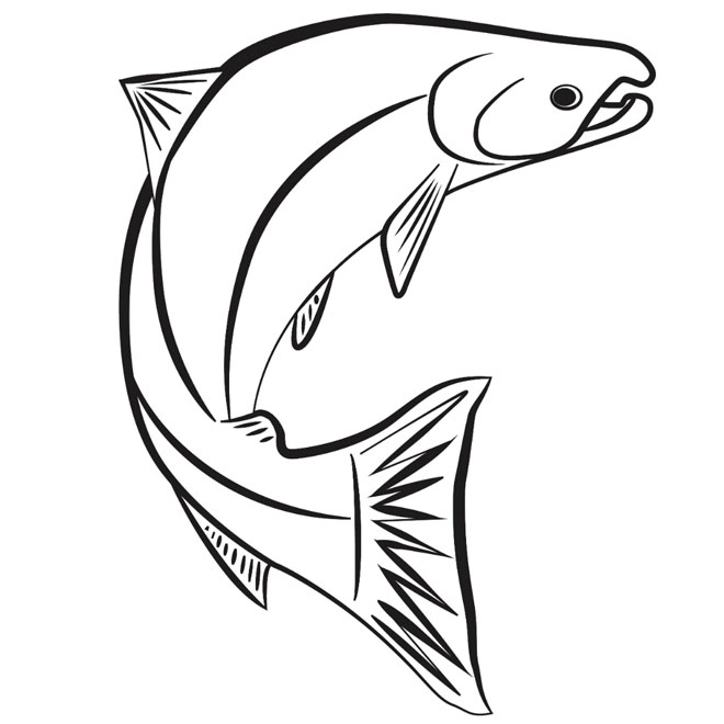 660x660 Scotty Kid Zone