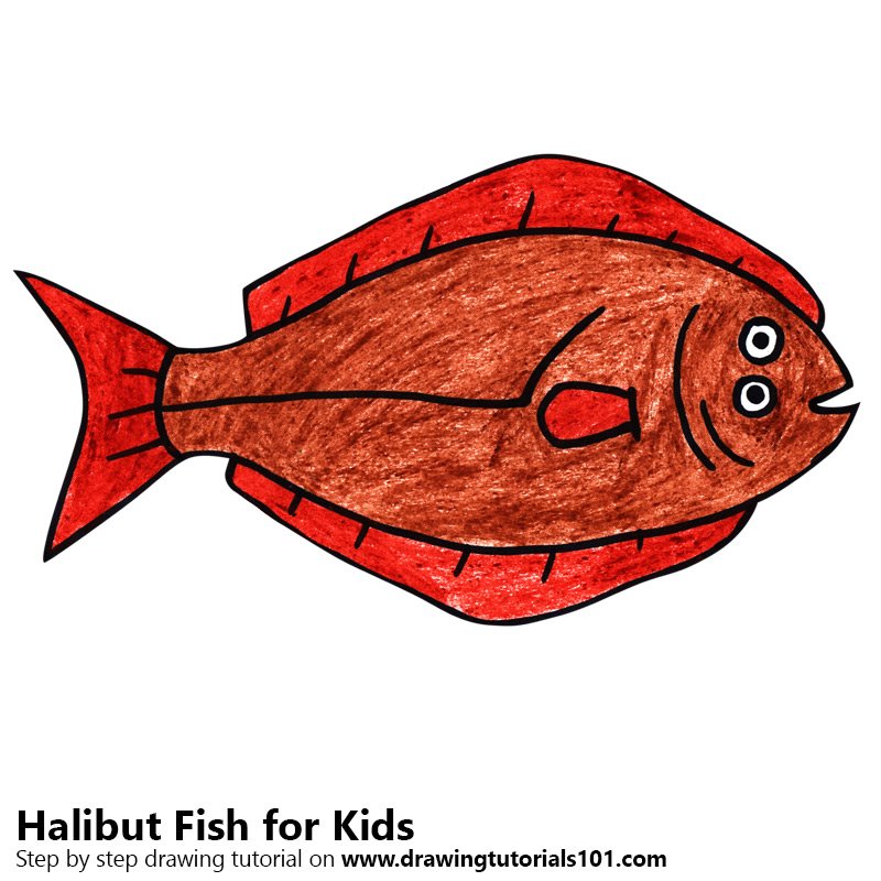 800x800 Learn How To Draw A Halibut Fish For Kids (Animals For Kids) Step
