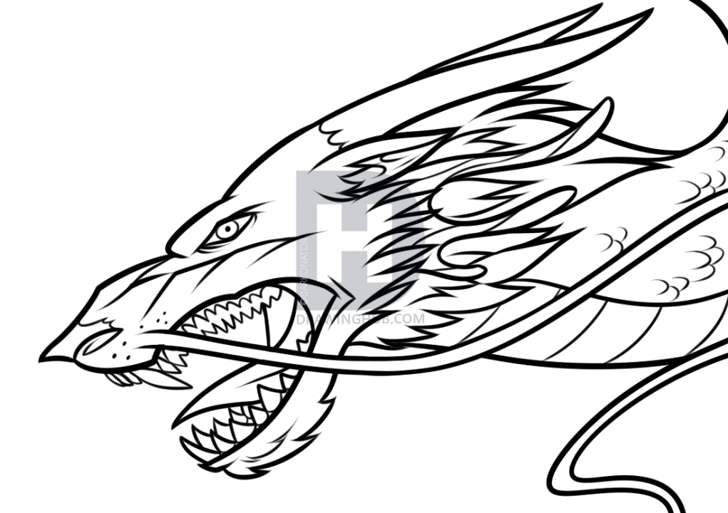 1021x720 Drawing A Chinese Dragon Head, Step By Step, Drawing Guide, By