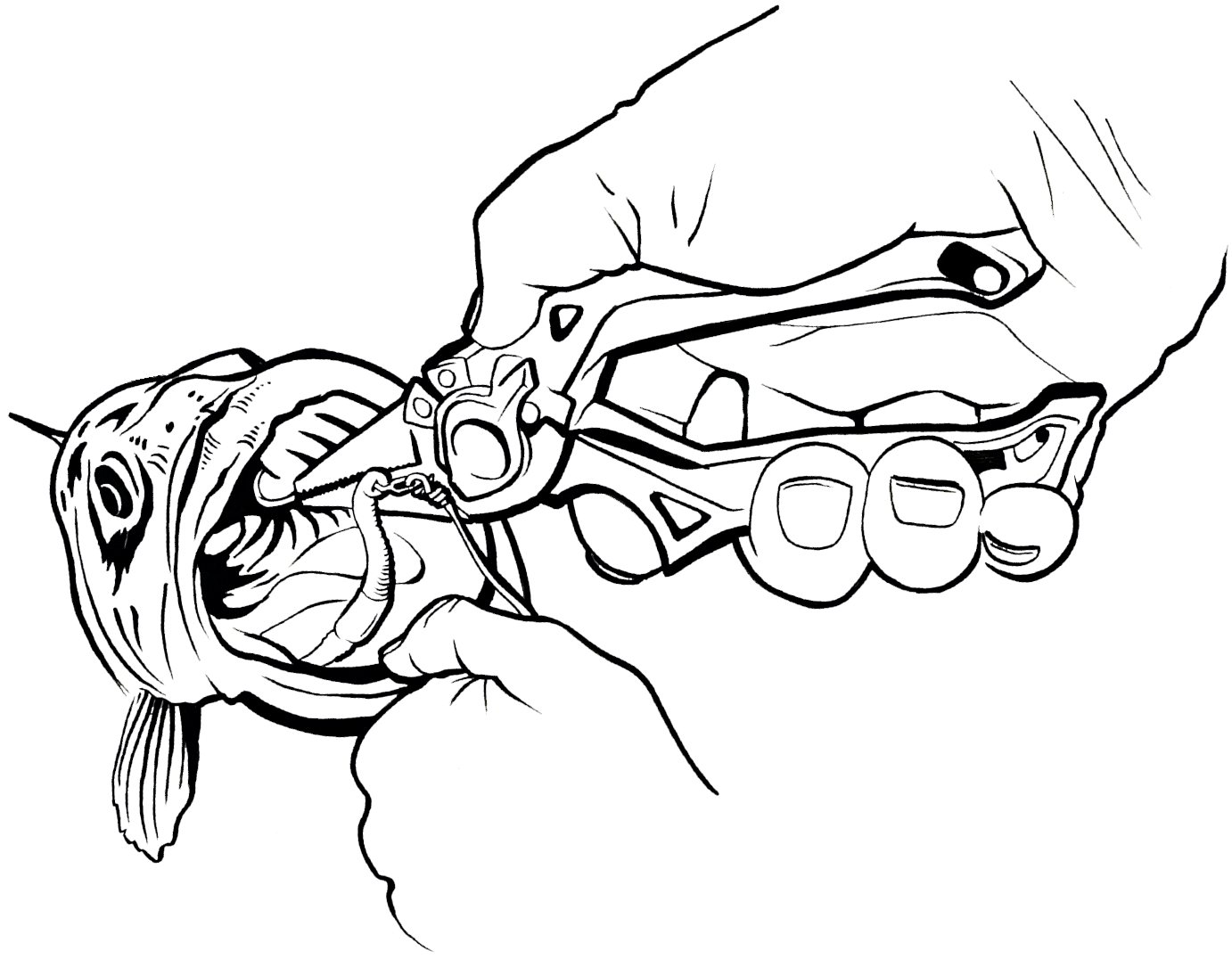 1382x1076 Sleigh Riding Gerber Fishing