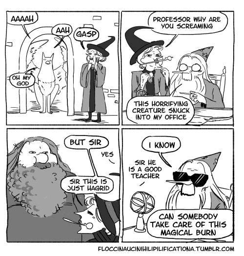 500x525 Floccinaucinihilipilification Harry Potter Harry