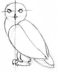 200x248 How To Draw The Golden Snitch Step 6 Talk Nerdy To Me