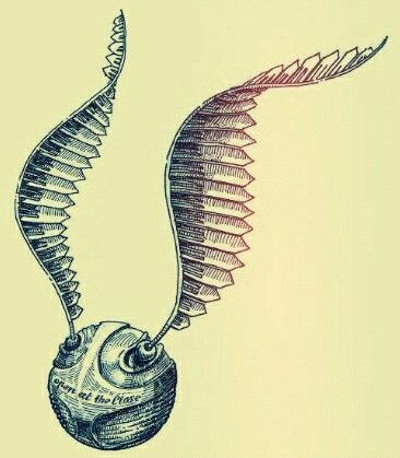 366x419 Pin By Joyce Loh On Drawings Harry Potter, Tattoo