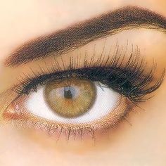 236x236 Green Eye Green Eyes, Mysterious And Eye