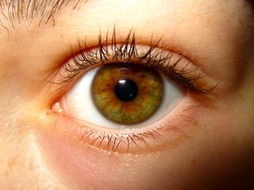 500x375 Hazel Eye A Shot I Took Of My Eye To Draw From For An Art