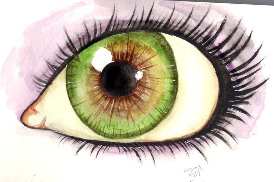 900x597 Hazel Eye By Toriadoria