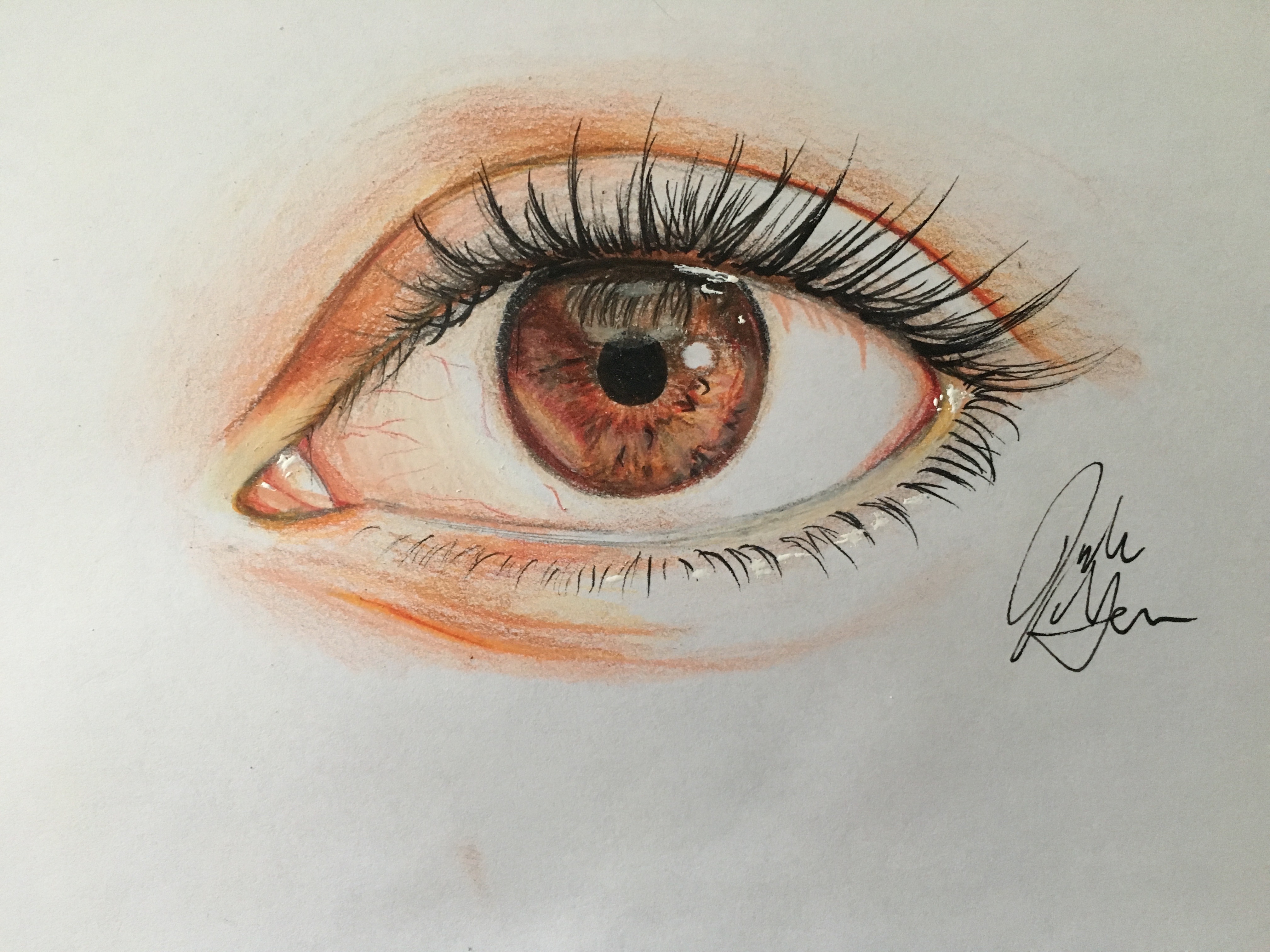4032x3024 How To Draw An Eye In Colored Pencil (With Pictures)