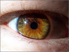 245x184 Only 12 Percent Of Population Has Hazel Eyes. So, Bask In