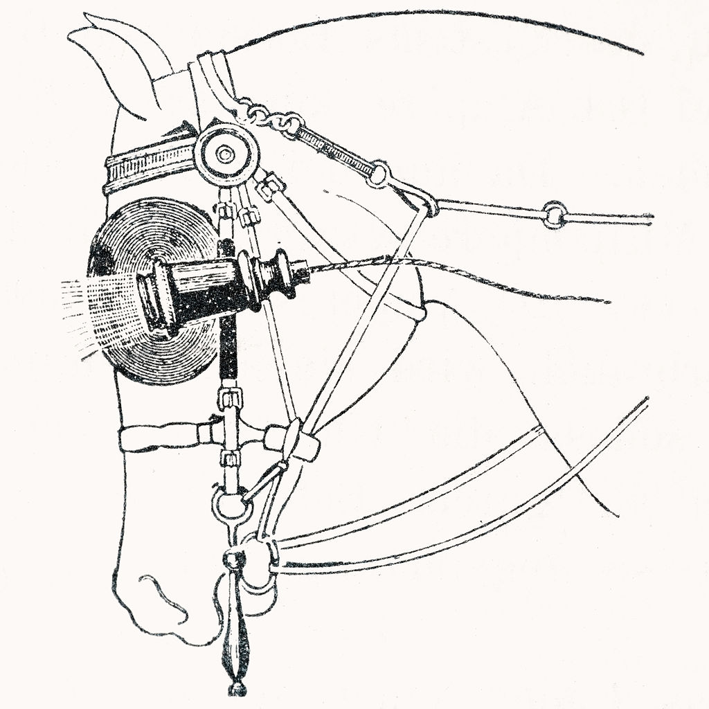 1024x1024 Filehorse Headlight.jpg
