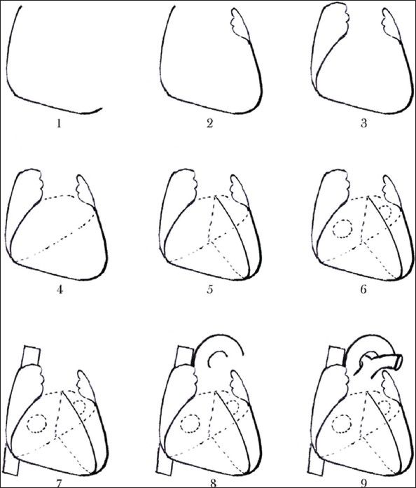 594x697 How To Draw A Real Heart Step By Step Simple Human Heart Drawing