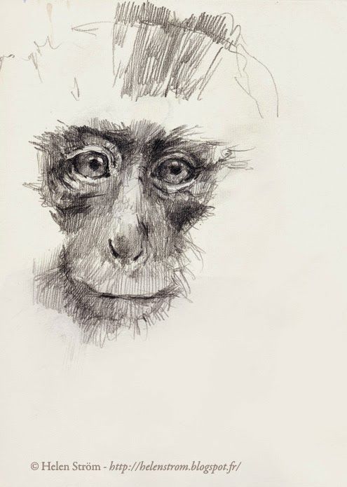 495x695 Helen Drawing Graphic Arts Watercolor