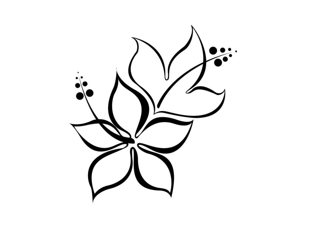 1024x768 Simple Flower Line Drawing Hibiscus Flower For Drawing Simple