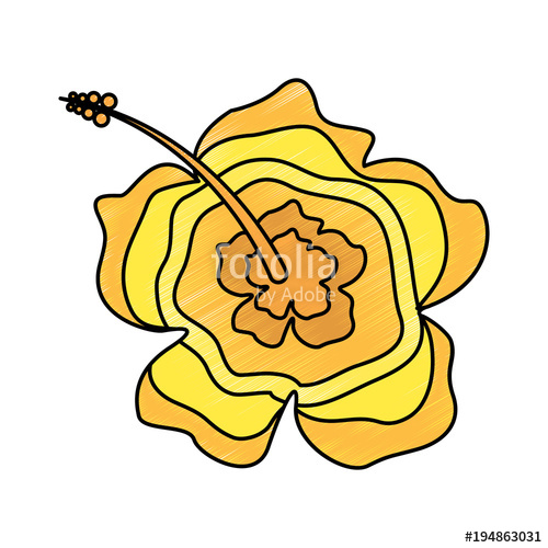 500x500 Beauty Hibiscus Flower Ornament Decoration Icon Vector