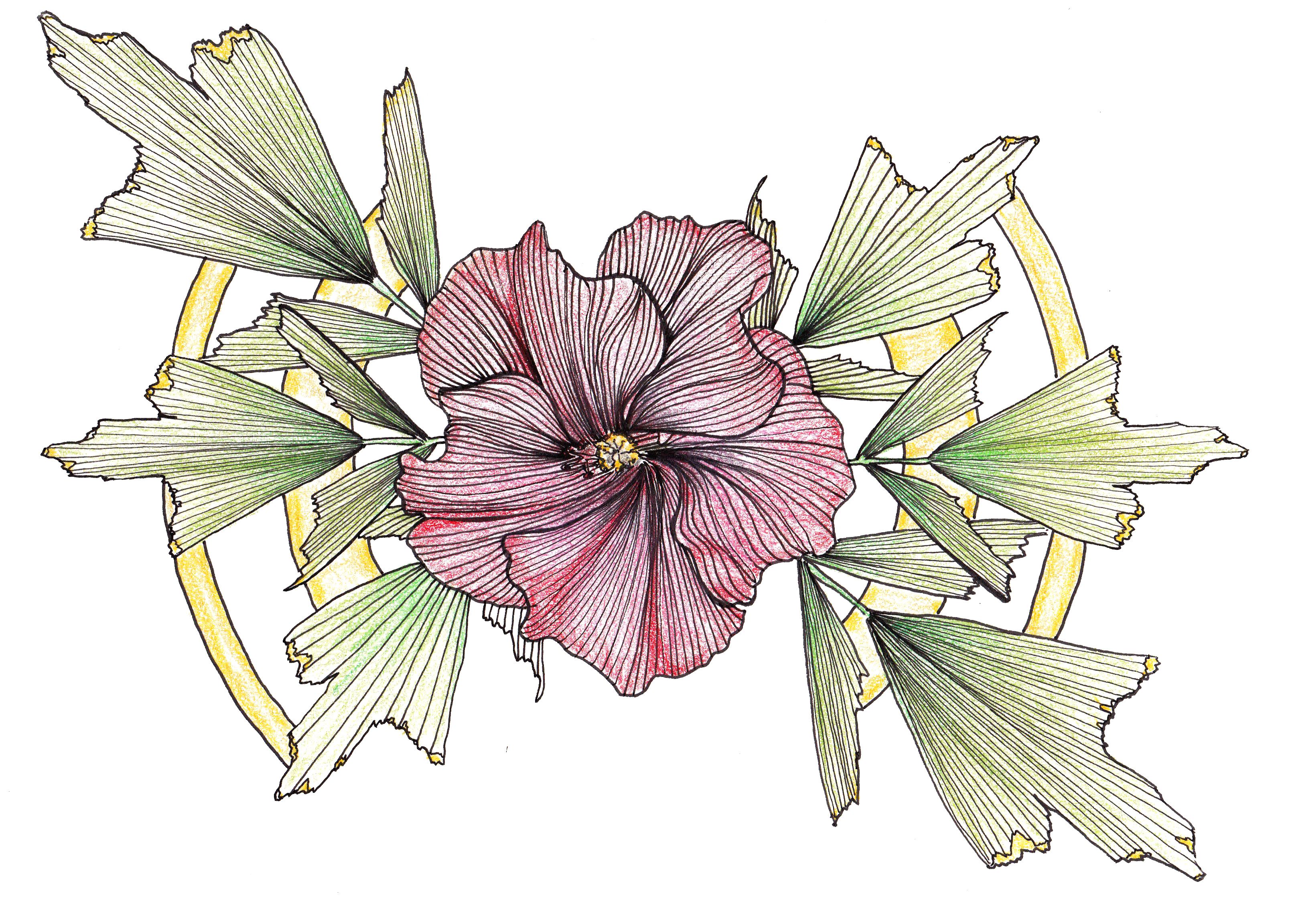 3216x2304 Line Drawing