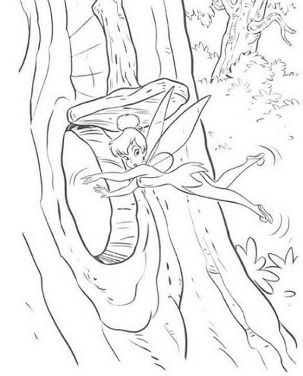 600x744 Tinkerbell Fly To Hide Coloring Page Preschool Amusing Draw Print