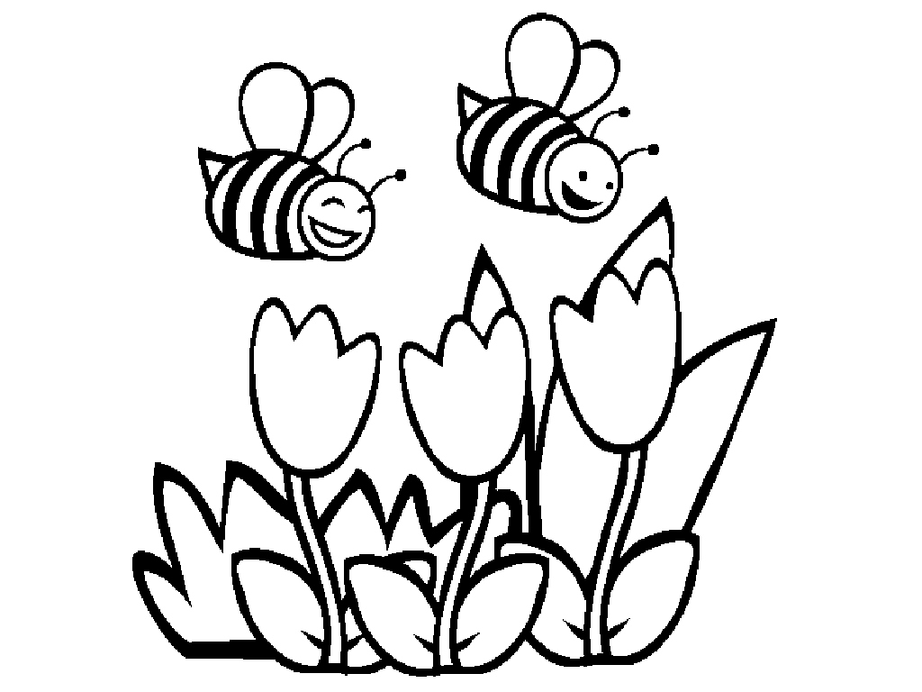 1024x768 Bumble Bee Coloring Page Fresh Hive Pages Sketch Throughout