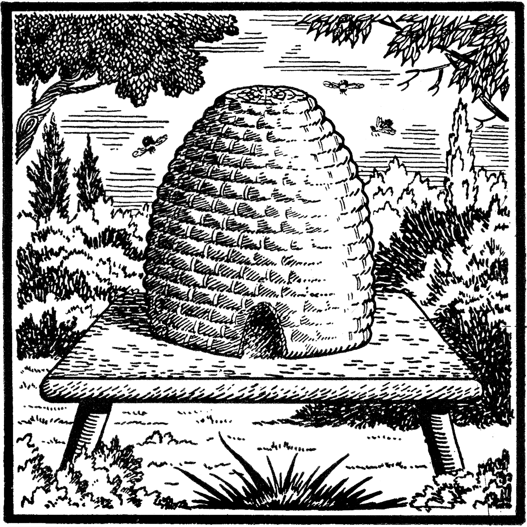 1799x1800 Vintage Beehive Image