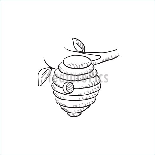 500x500 Bee Hive Sketch Icon. Illustration